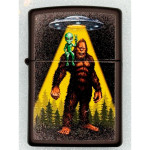 Зажигалка Zippo (Зиппо) Rick Rietveld 46416